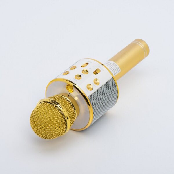 Multimedia karaoke microphone CR58S HQ gold – Bild 5