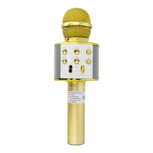Multimedia karaoke microphone CR58S HQ gold