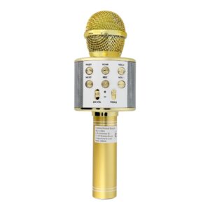 Multimedia karaoke microphone CR58 gold