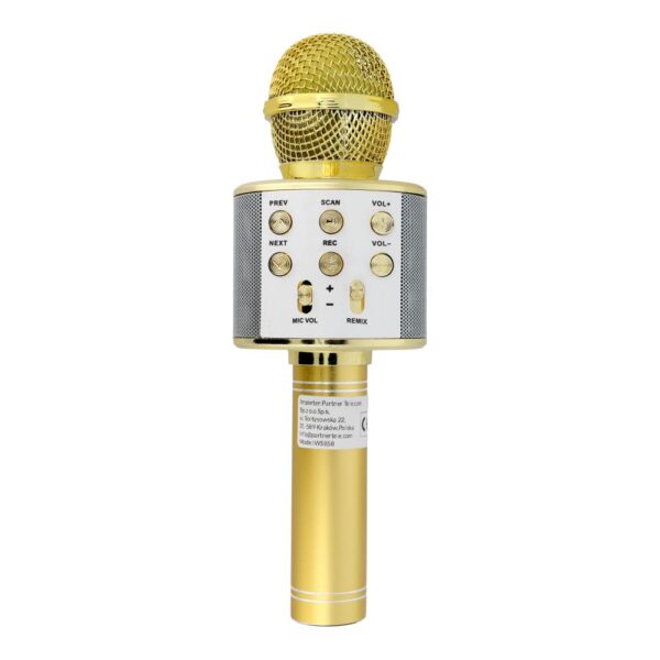 Multimedia karaoke microphone CR58 gold